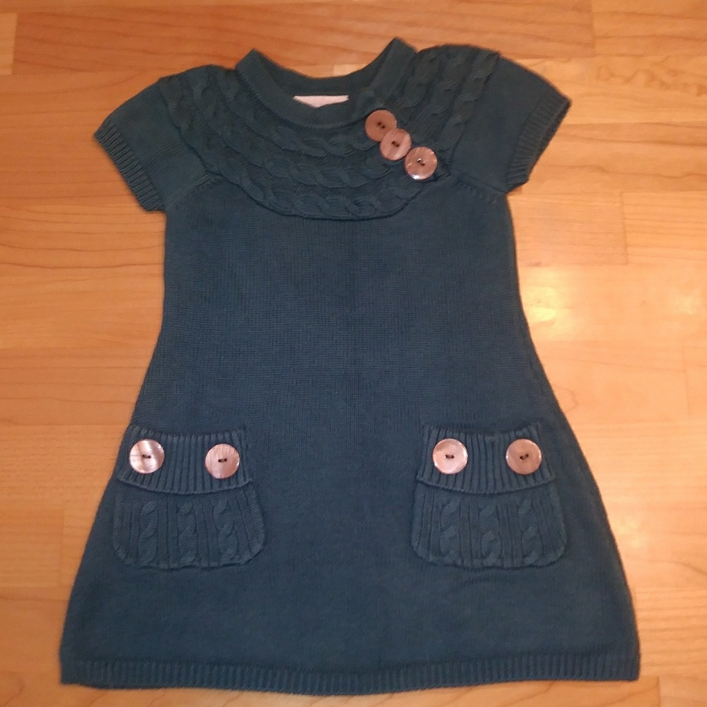 Iris and Ivy  Button Sweater Top Girls 2T